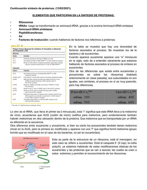 Traducción y RNA interferencia