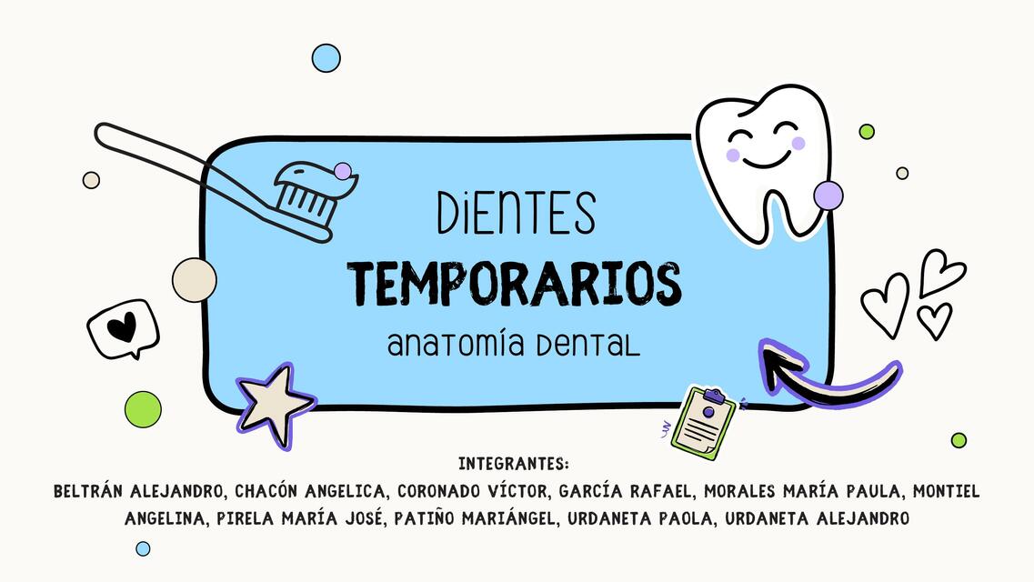 Dientes Temporales Antomía Dental