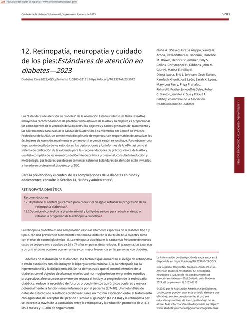 12 RETINOPATIA NEUROPATIA en es