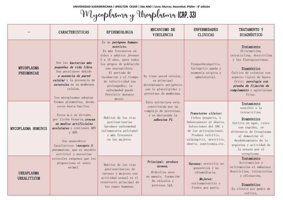 Cap 33 TABELA Mycoplasma y Ureaplasma