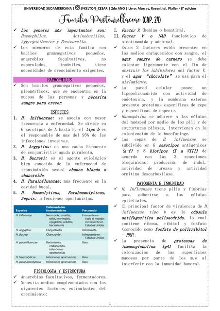 Cap 24 Haemophilus y bacterias relacionadas