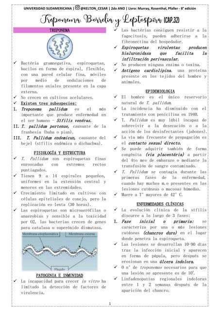 Cap 32 Treponema Borrelia y Leptospira