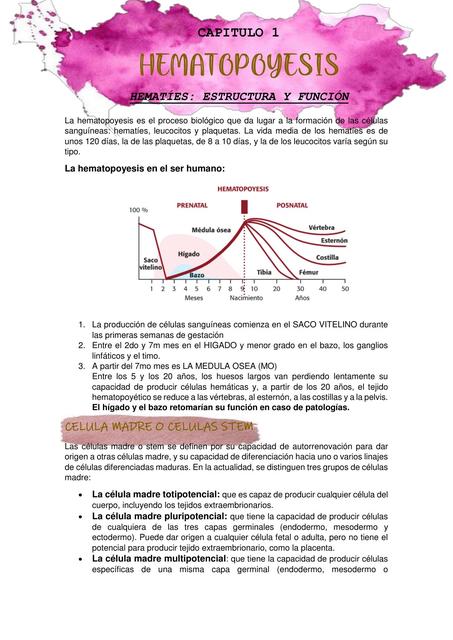 Hematopoyesis