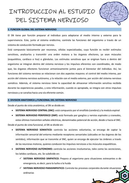 Introdución al sistema nervioso