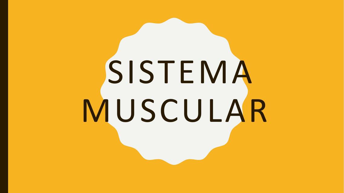 SISTEMA MUSCULAR REPASO