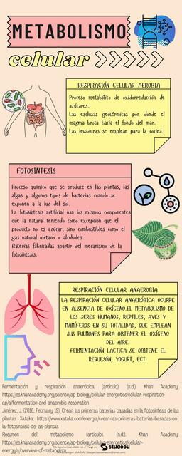 Metabolismo celular