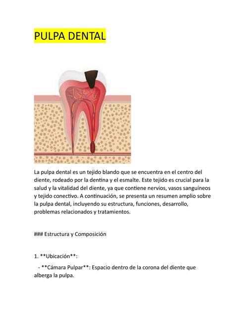 PULPA DENTAL