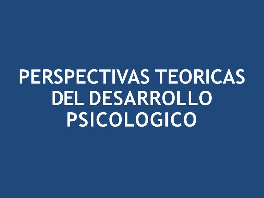 PERSPECTIVAS TEÓRICAS DEL DESARROLLO