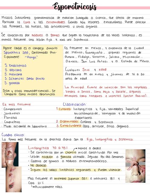 Micosis Profundas Esporotricosis