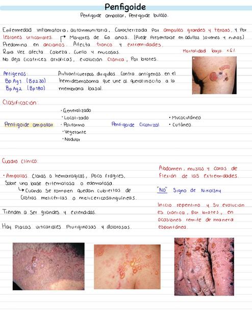 Dermatosis Ampolloso Penfigoide