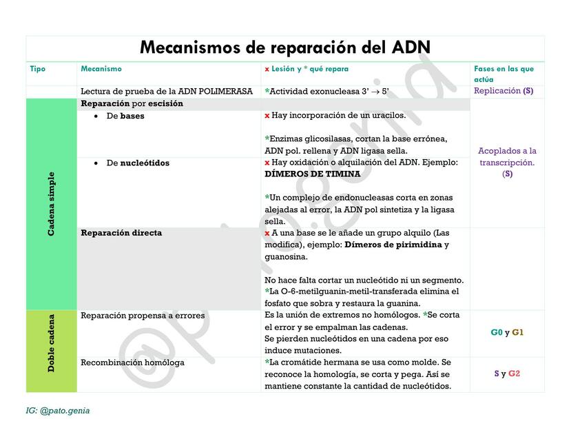 Mecanismos de reparación del ADN