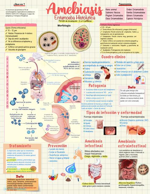 AMEBIASIS