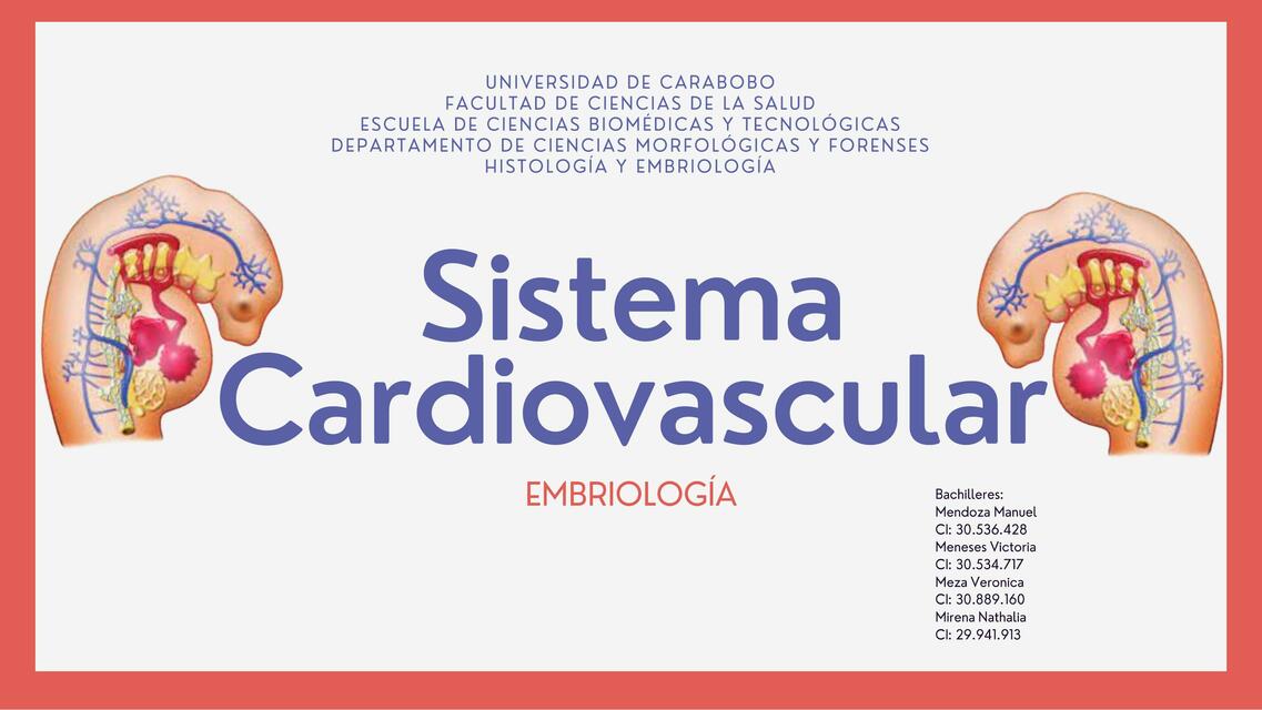 Sistema Cardiovascular Embriología 1