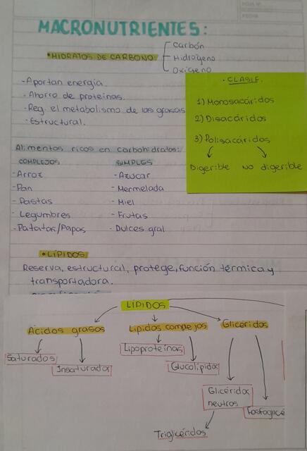 Macro y Micronutrientes