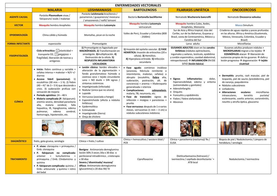 RESUMEN ENFERMEDADES VECTORIALES