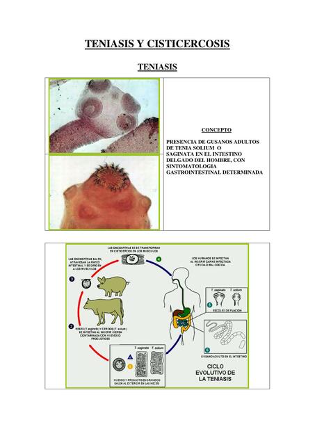 TENIASIS Y CISTICERCOSIS