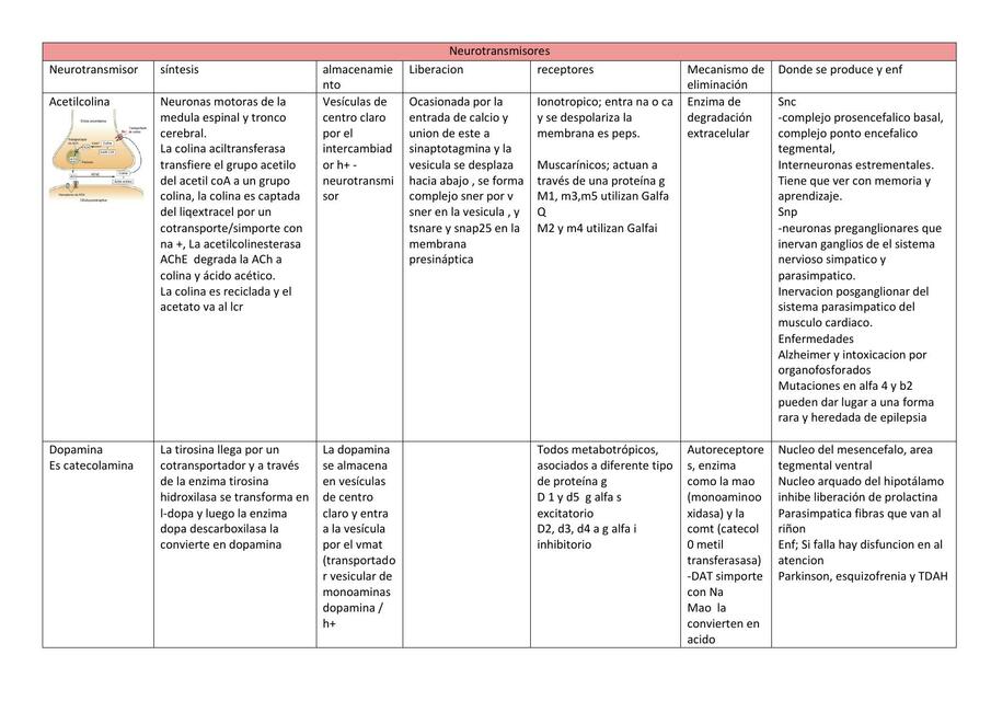 neurotransmisores