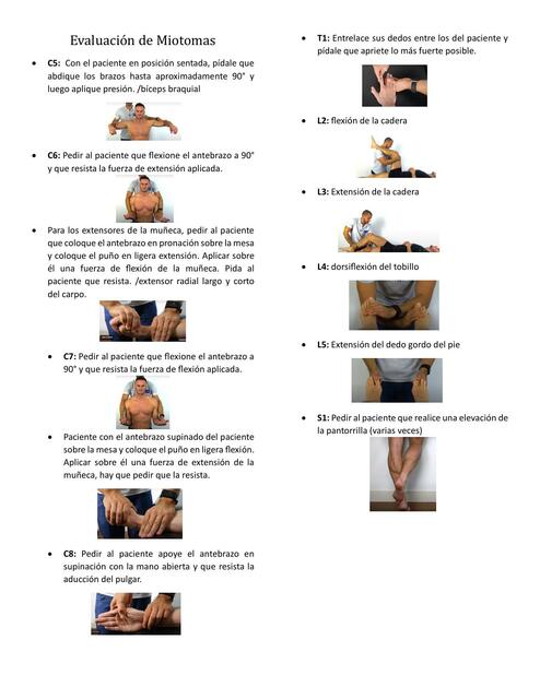 Evaluación de Miotomas
