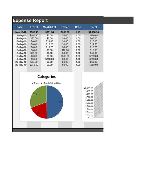 ACME Expense Report