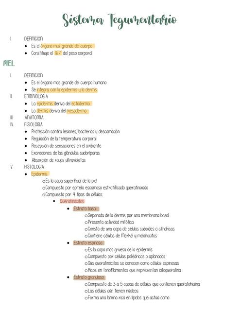 Sistema Integumento 1