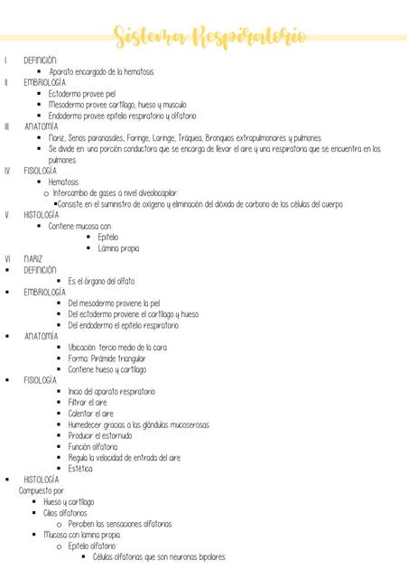 Sistema Respiratorio 1