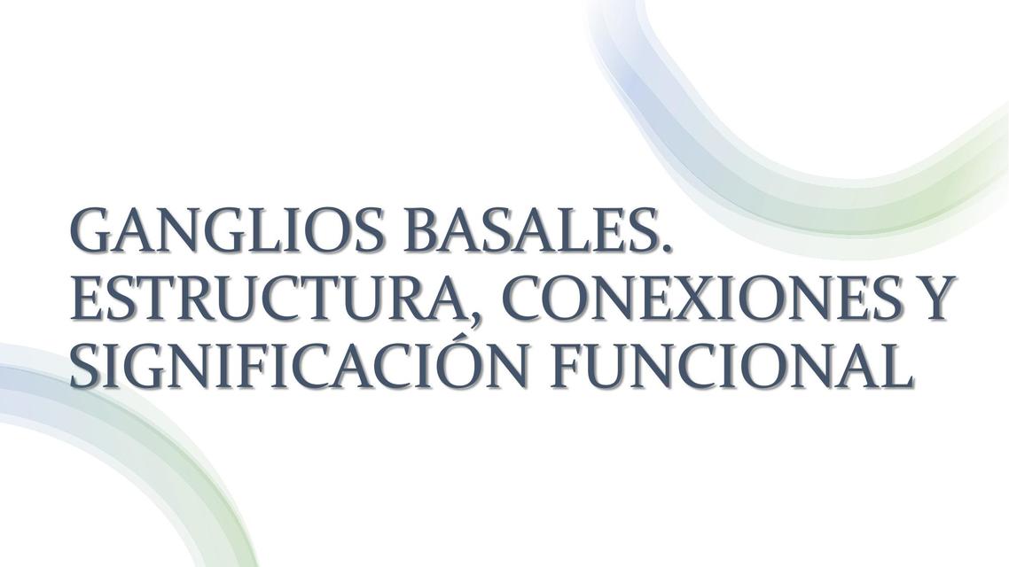 Núcleos basales Estructura conexión y significación funcional