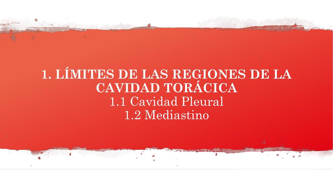 1 Límites de las regiones de la cavidad torácica