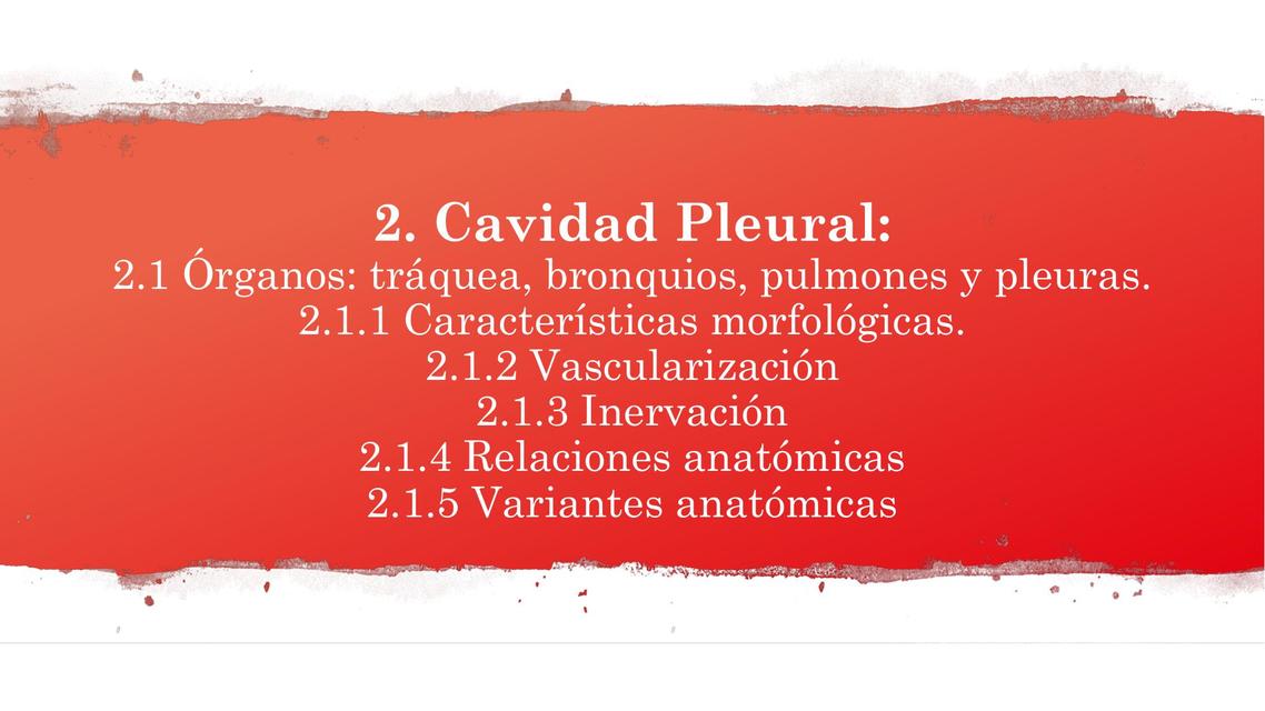 Cavidad Pleural