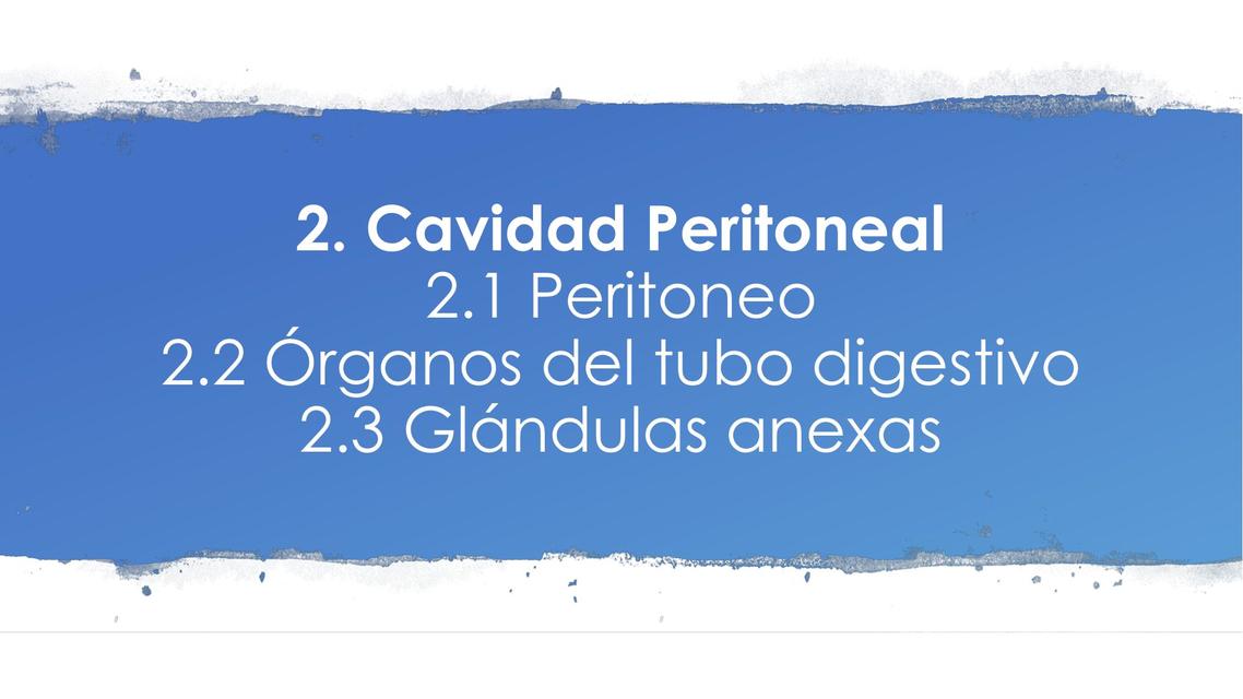 Anatomía de la Cavidad Peritoneal