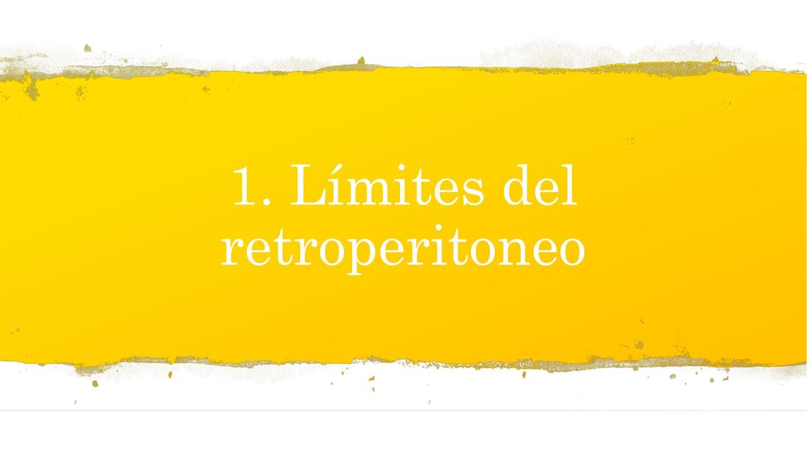 Límites del retroperitoneo