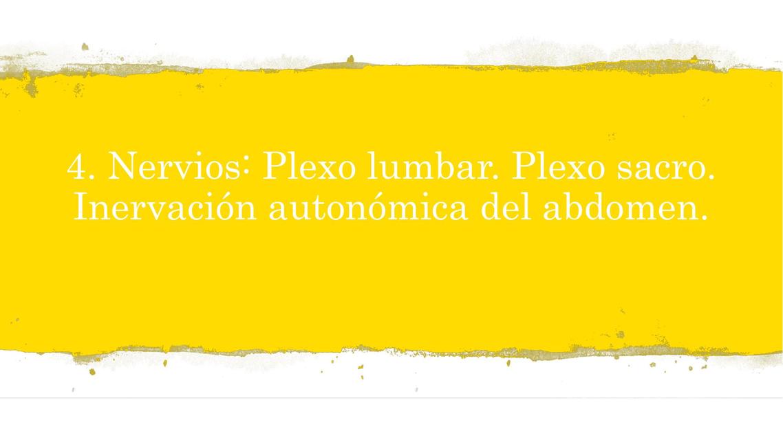 Nervios Inervación autonómica Plexo Lumbar y Plexo Sacro