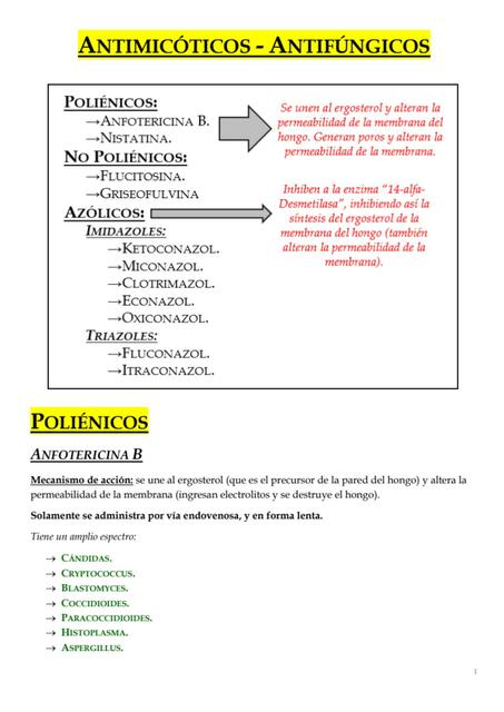 Antimicóticos- antifúngicos 