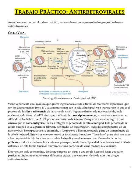 Trabajo práctico: antirretrovirales 