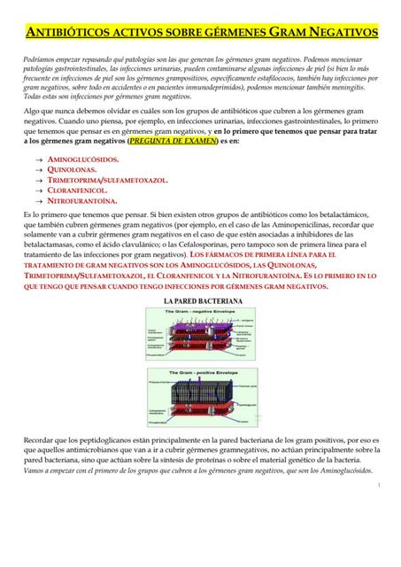 Antibióticos activos sobre gérmenes gram negativos 