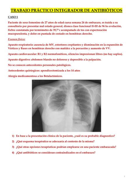 Trabajo práctico integrador de antibióticos 