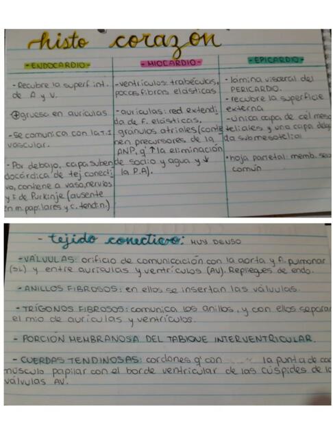 FlashCards Cardiovascular