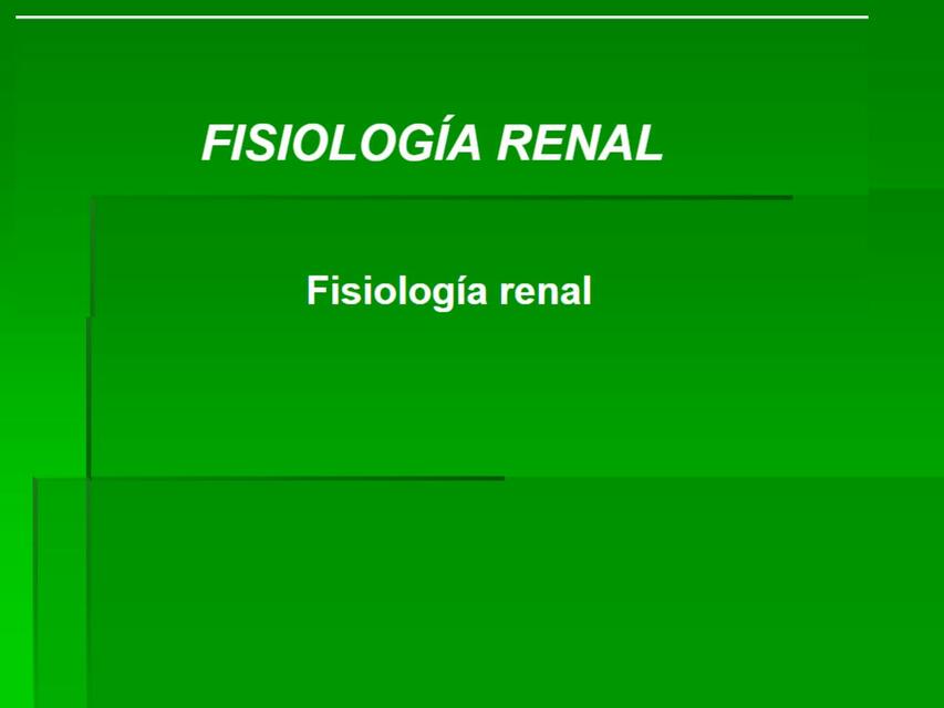 2 Fisiología renal