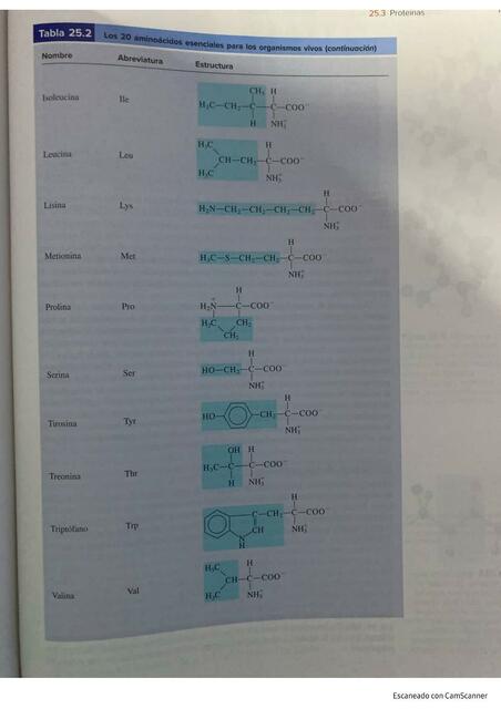AMINOÁCIDOS ESENCIALES Y NO ESENCIALES 2DA PERIODO