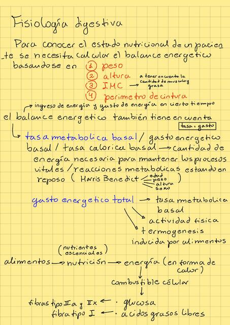 FISIOLOGIA DIGESTIVA