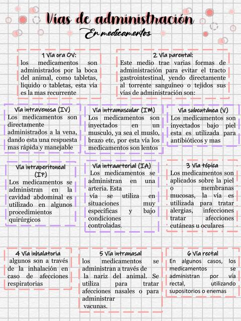 vias de administracion