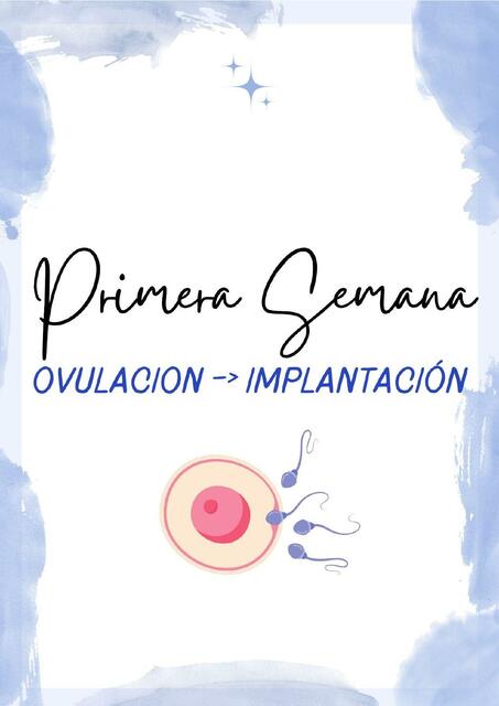 Primera semana ovulación - implementación