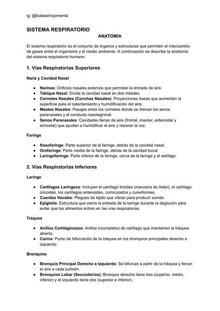 SISTEMA RESPIRATORIO - up 4 - trabajo y tiempo libre - bp