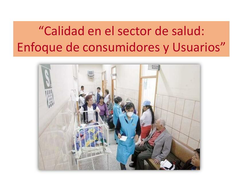 104 Calidad en el sector de salud enfoque de consu