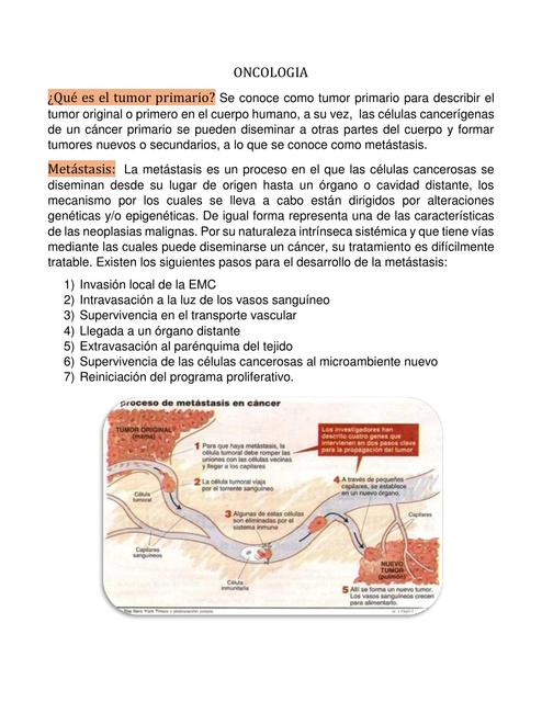 Introducción a Oncologia. Conceptos  basicos. Parte 2