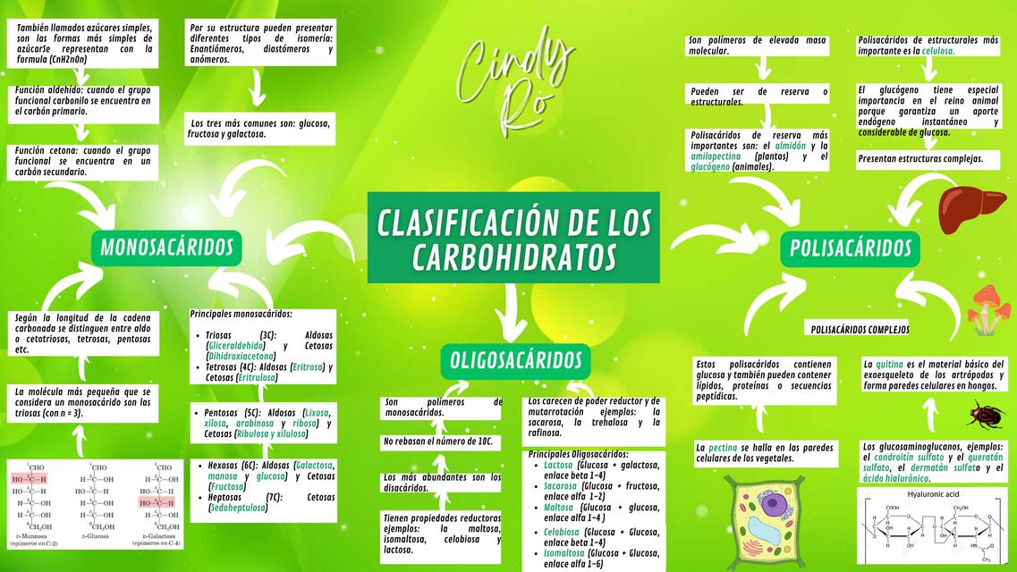 CLASIFICACION DE LOS CARBOHIDRATOS