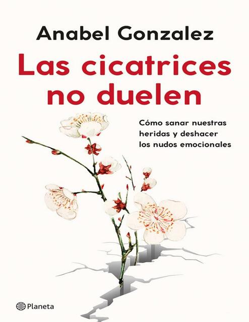 Las cicatrices no duelen