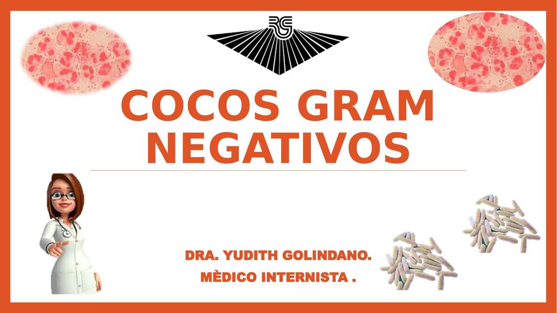 Cocos gram negativo