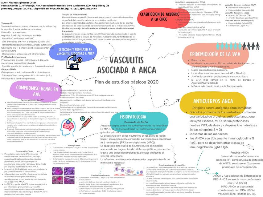 vasculitis asociada a anca Oscar