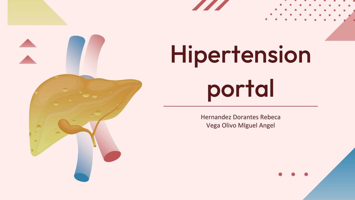 Hipertension Portal