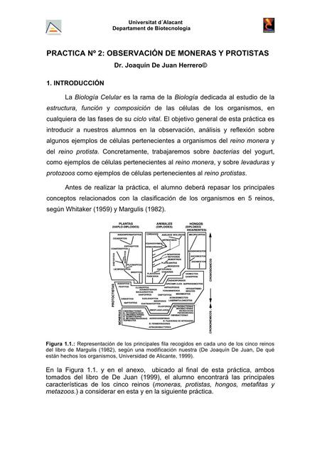 Observación de Moneras y protistas